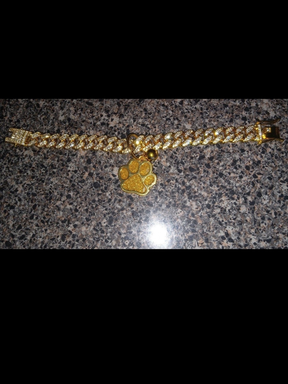 Gold Paw Charm Cuban-Style Dog/ Cat Collar - Sparkling Gold